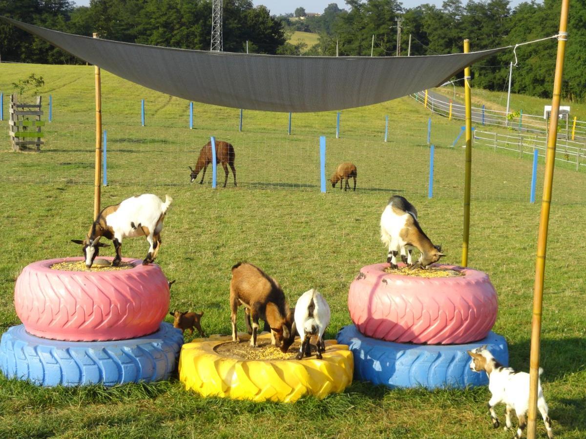 Bed and Breakfast La Petite Ferme De Pouillon - Parc Animalier - Aire De Loisirs Zewnętrze zdjęcie